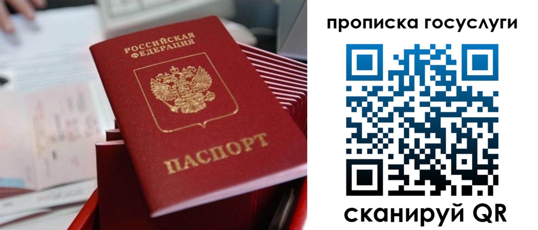 прописка законно в Егорьевске
